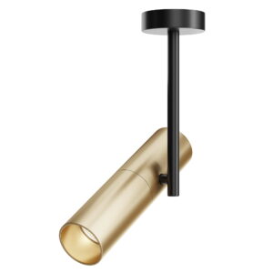 Stropna svjetiljka Maytoni Elti – Crno sa zlatnom – C020CL-01GB Nadgradna stropna svjetla