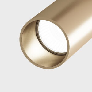 Stropna svjetiljka Maytoni Elti – Crno sa zlatnom – C020CL-01GB Nadgradna stropna svjetla