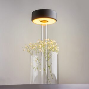 Punjiva svjetiljka Maytoni AI Collaboration – Prozirna – MOD229TL-L3B3K1 Baterijske svjetiljke Punjiva svjetiljka Maytoni AI Collaboration – Prozirna – MOD229TL-L3B3K1 Baterijske svjetiljke
