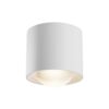 Stropna svjetiljka Maytoni Lens – Crna – C220CL-12W3K-B Nadgradna stropna svjetla
