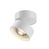 Stropna svjetiljka Maytoni Lens – Crna – C220CL-12W3K-B Nadgradna stropna svjetla